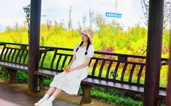 野鸭子剧情简介